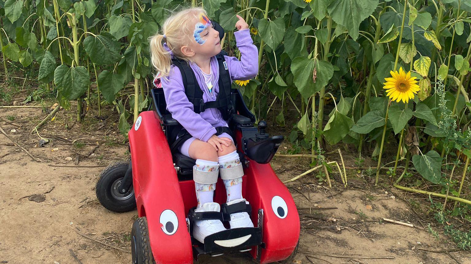 Bella sits in a powered wheelchair for children. She has blonde hair which has been tied into pigtails and she has some face paint. She is looking at the leaf of a flower in a field. Her wheelchair is red with an eye on each side.