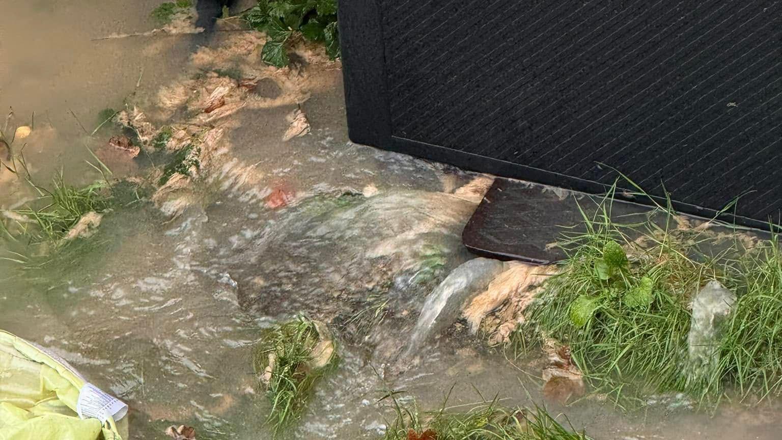 Catherine Urben's flooded garden, with pieces of dirty toilet paper and sewage water coming from the drain