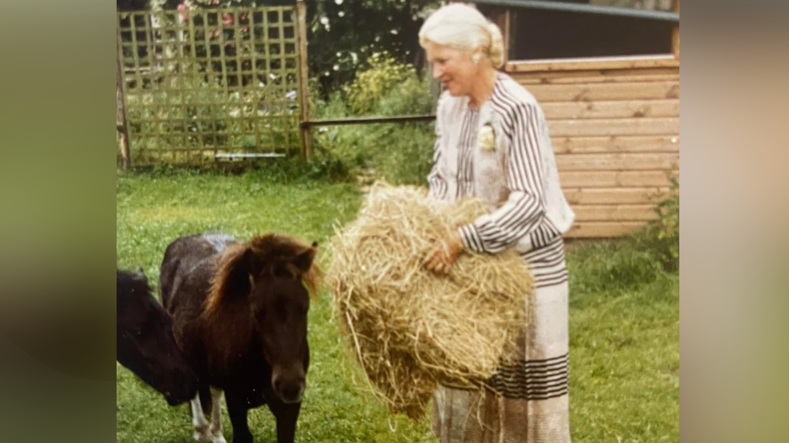 A younger Jean stands with a hay bale in her hands next to two dark brown small ponies.