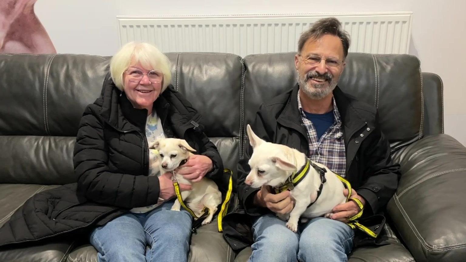 Keith and Helen are sitting on a clack leather sofa, smiling at the camera. They are both wearing black coats. On their laps Keith is holding Ned and on Helen's lap is Pop, they are Chihuahua Dachshund Crossbreeds. Both dogs are white in colour. Pop his wearing a yellow Dogs Trust collar and lead and Ned has a yellow and black Dogs Trust harness on.