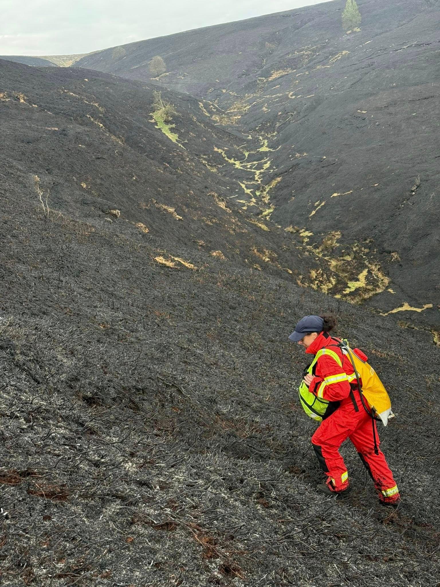 A firefighter in bright red uniform walks up a blackened hillside