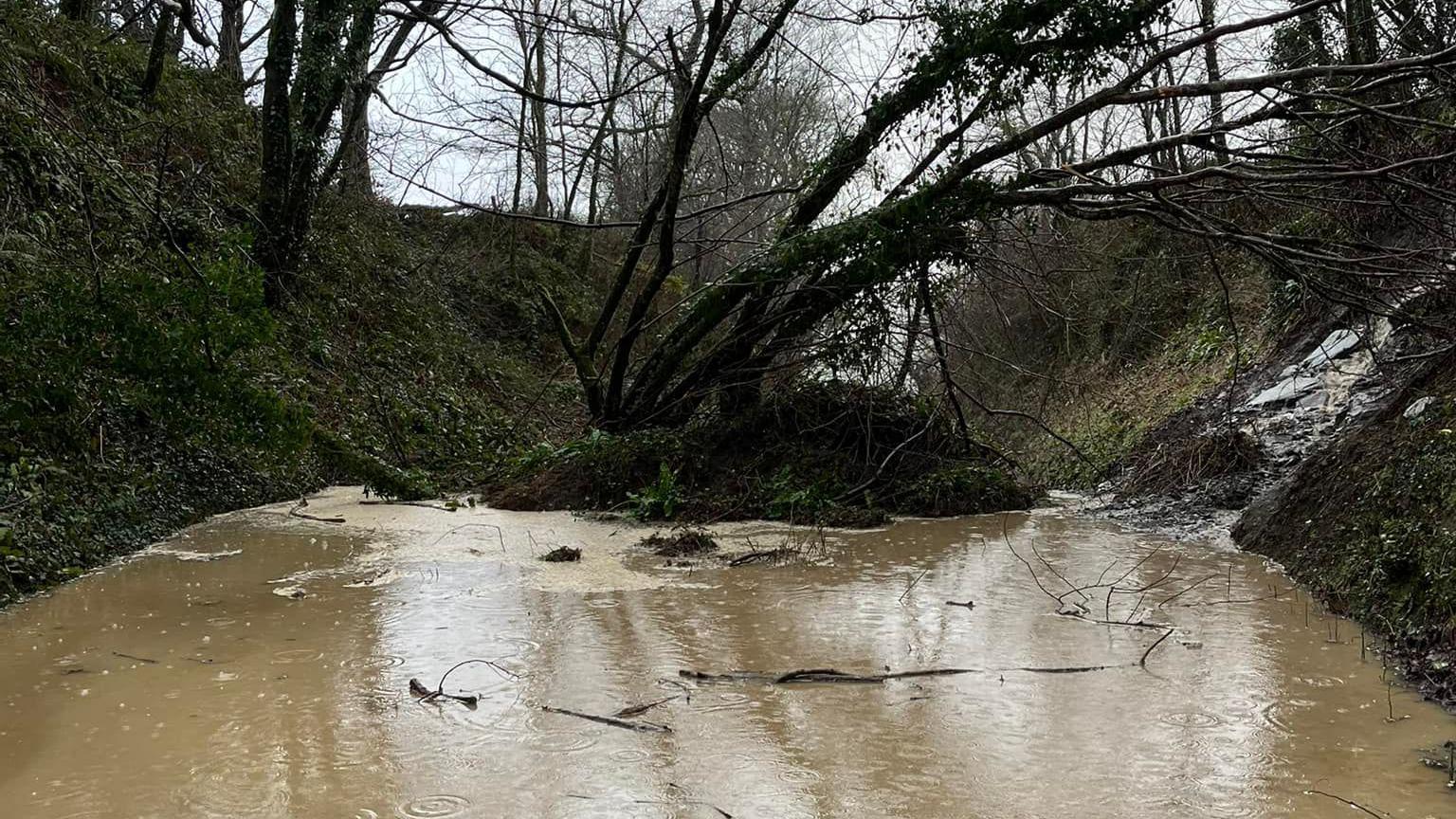 Landslide on road between Tavistock and Lamerton. The road is totally flooded with a large amount of earth across the road with a tree in the middle.