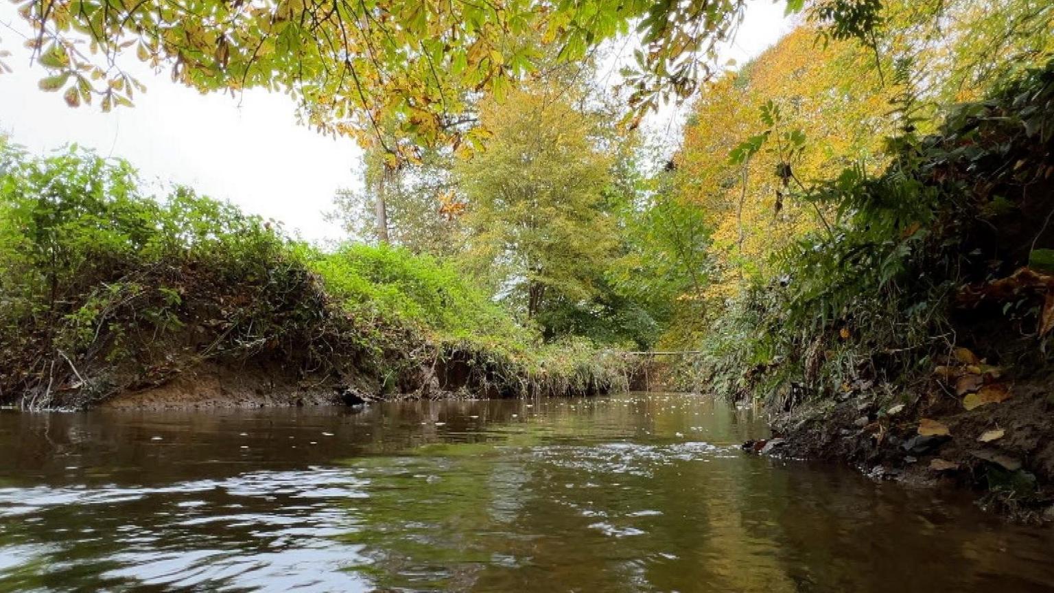 A brownish river which has trees and plantation lining its banks