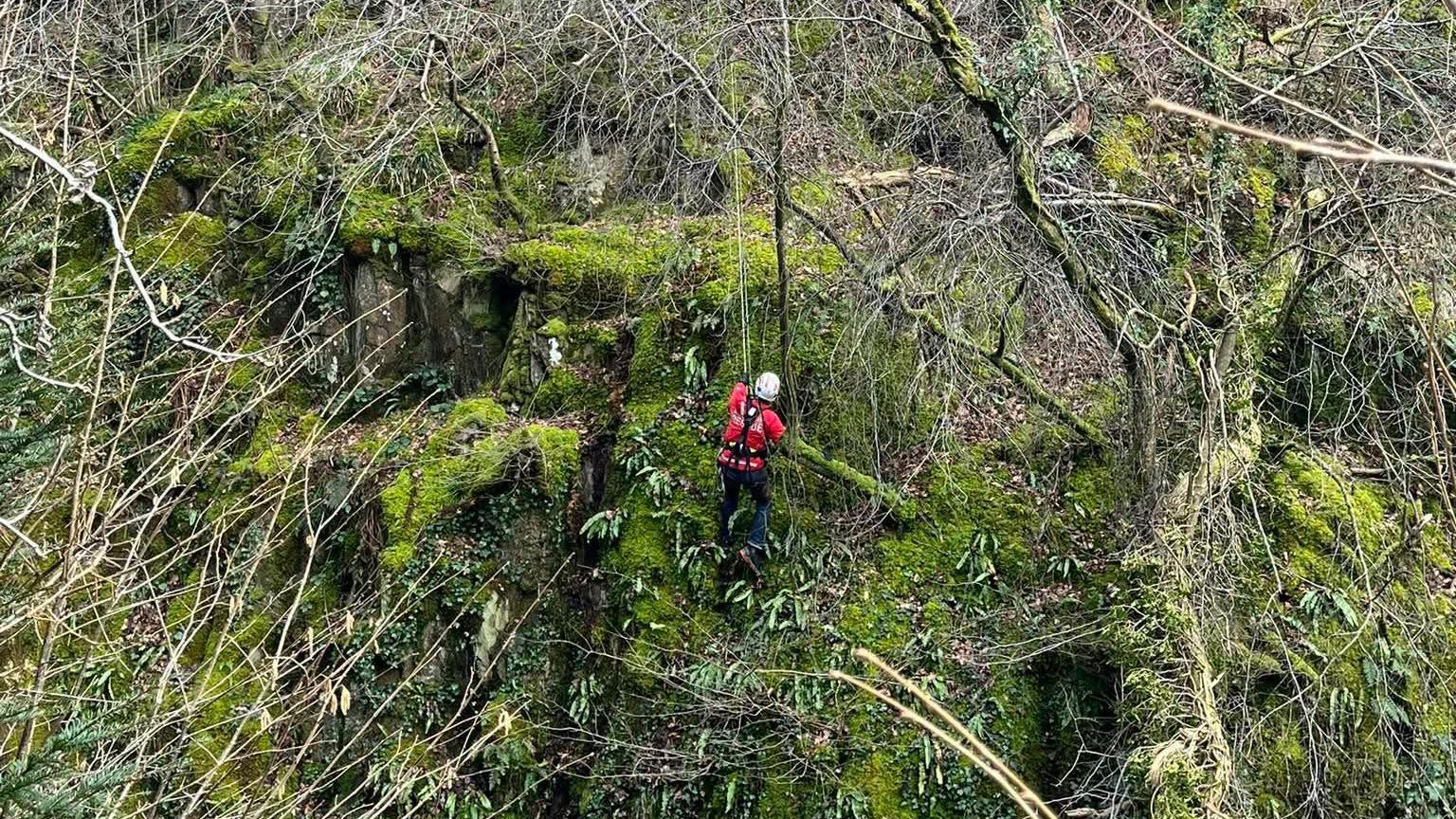 Dog trapped underground saved after six-hour North York Moors rescue ...