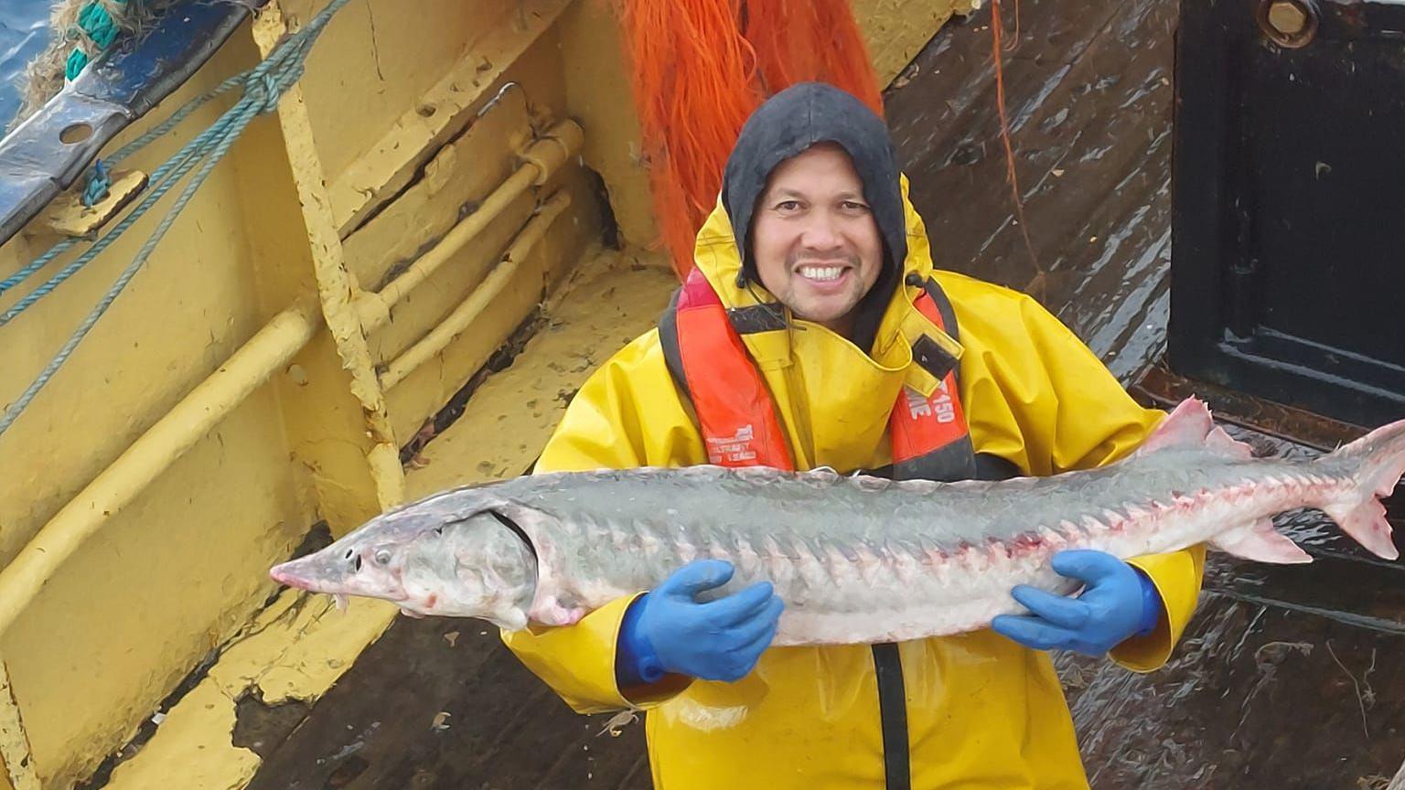 Fishing trawler crewman Danny Frejoles on board a boat in yellow waterproofs, smiling at the camera, holding a 4ft-long grey and pink sturgeon fish