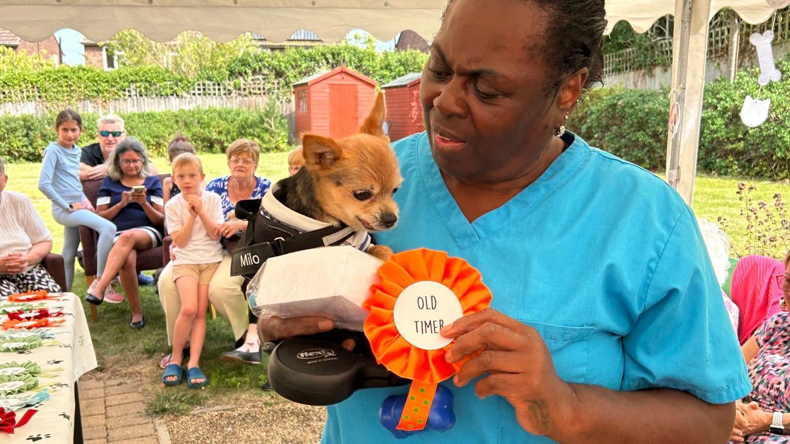 A member of care home staff in blue uniform holding a small brown dog and an orange rosette that reads "Old timer"