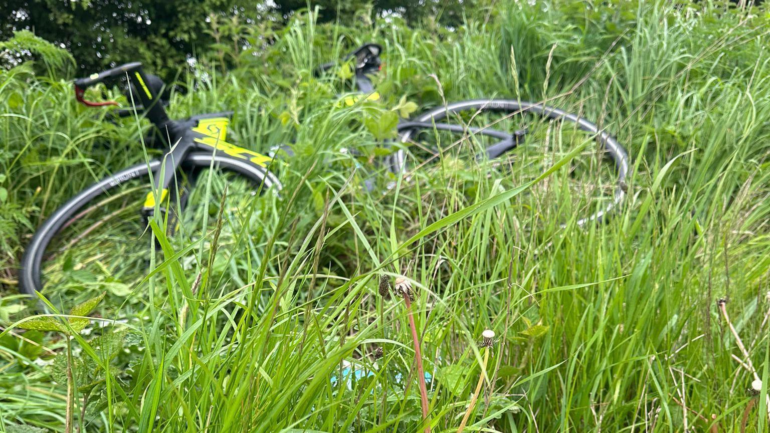 A bike lying in deep grass by the side of the road