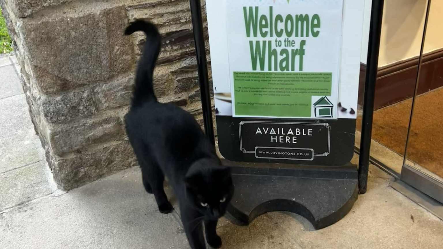 Polo stood in front of a sign at the enterance of a building. The sign has the words, in green, 'Welcome to the Wharf'.
