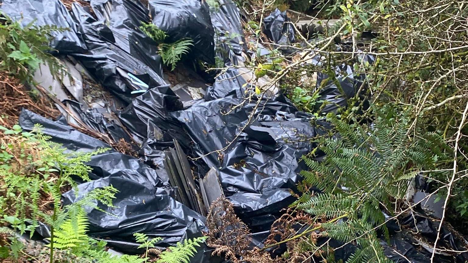 Close up of black bags containing building waste which have been dumped in Cornwall. Green foliage and brown twigs are surrounding the large black bags. 