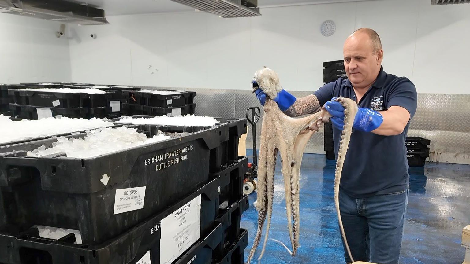 Barry Young from Brixham Trawler Agents holds up a Mediterranean octopus.