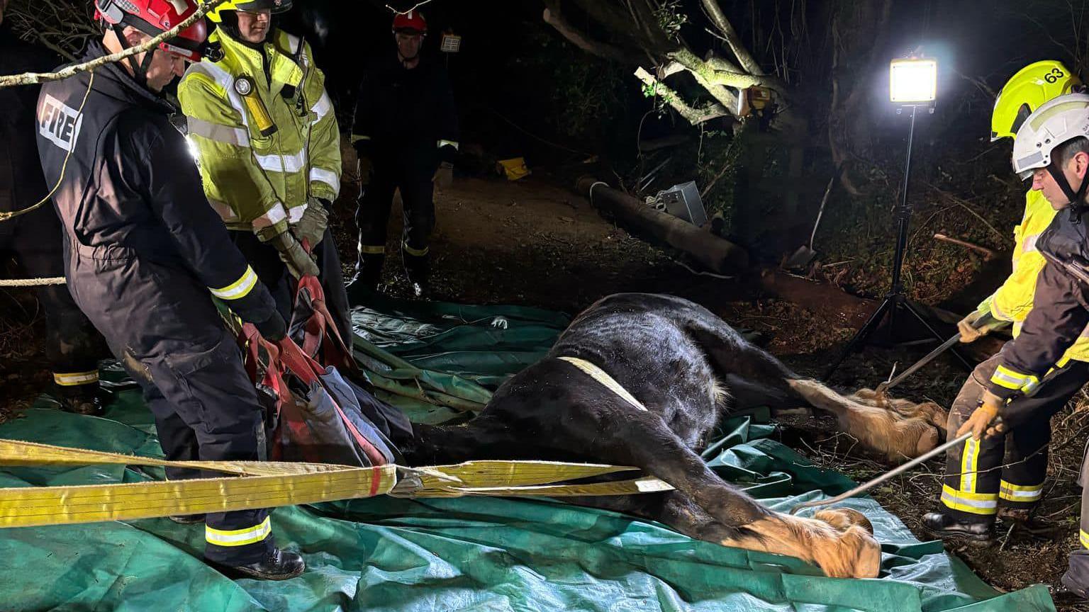 Four members of the rescue team standing around the horse which is lying on the ground, the men are wearing hi-vis outfits and one has the word 'fire' written on his back.