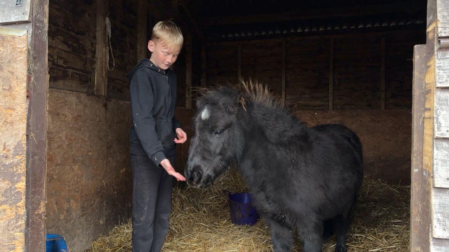 Anthony stands in a stable next to Phoenix. Anthony is wearing a black hoodie and black trousers, he is holding his hand out to Phoenix, a black shetland pony with a white mark on his forehead, to eat something.