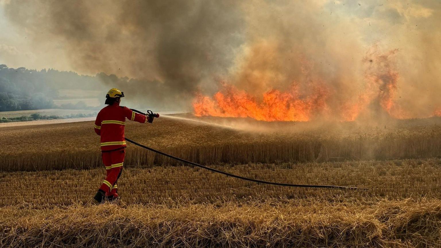 A firefighter in full protective kit sprays water on a patch of grass that is well alight.