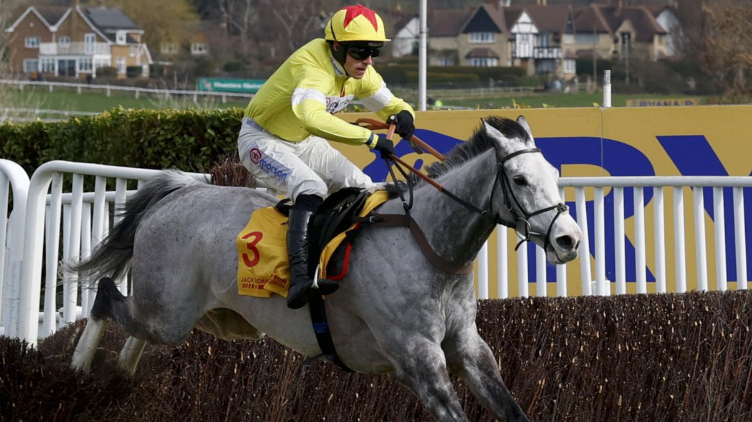 Harry Cobden is riding Caldwell Potter, a grey gelding, over a chase jump. He is wearing a yellow and white silk with a yellow helmet that has a red star.