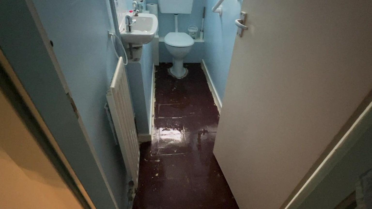 A small downstairs toilet with a toilet and a sink. The walls are light blue. The burgundy tiled floor is glistening and wet