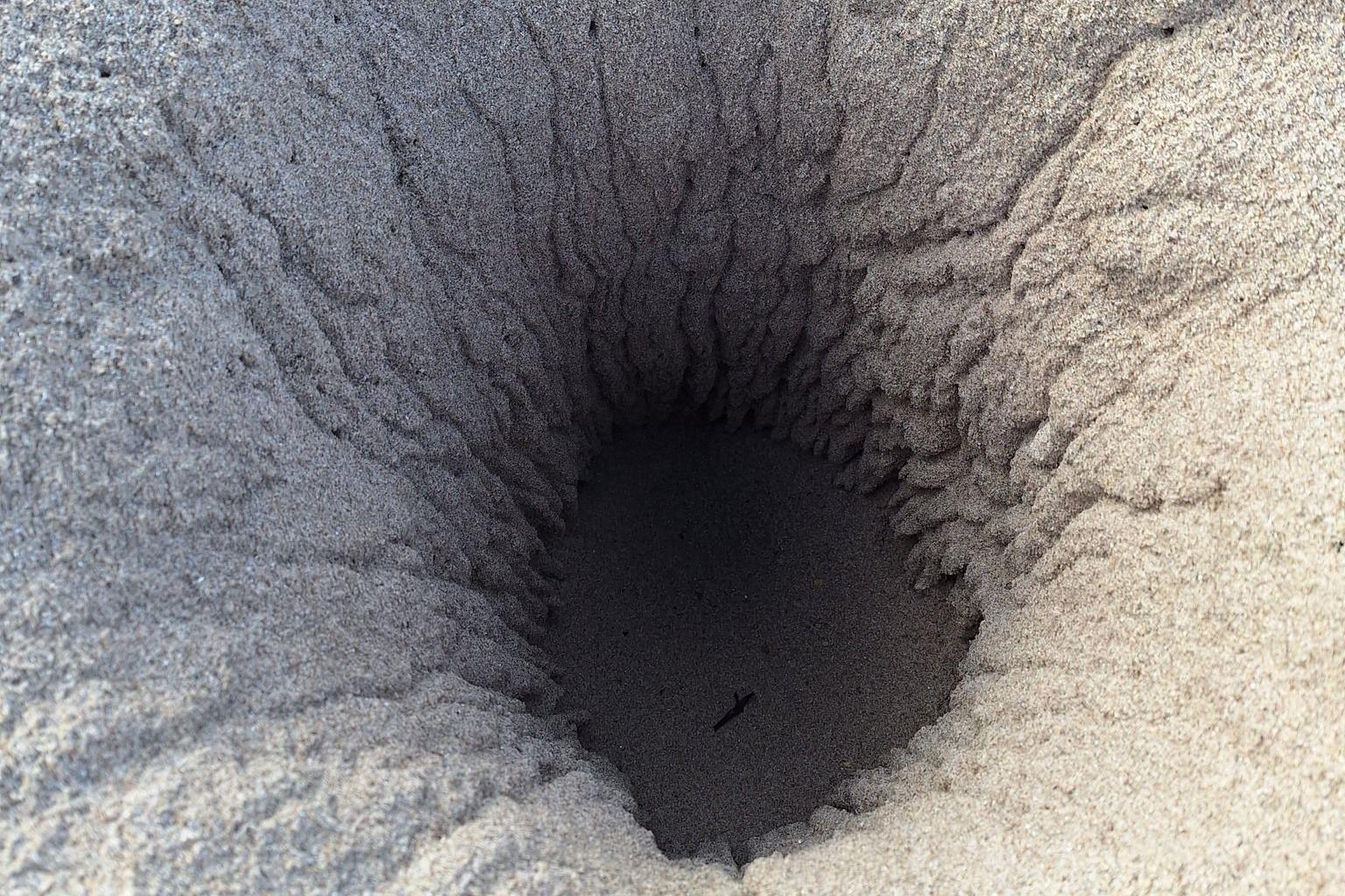 A large hole in the sand, with signs of scratches down the side.