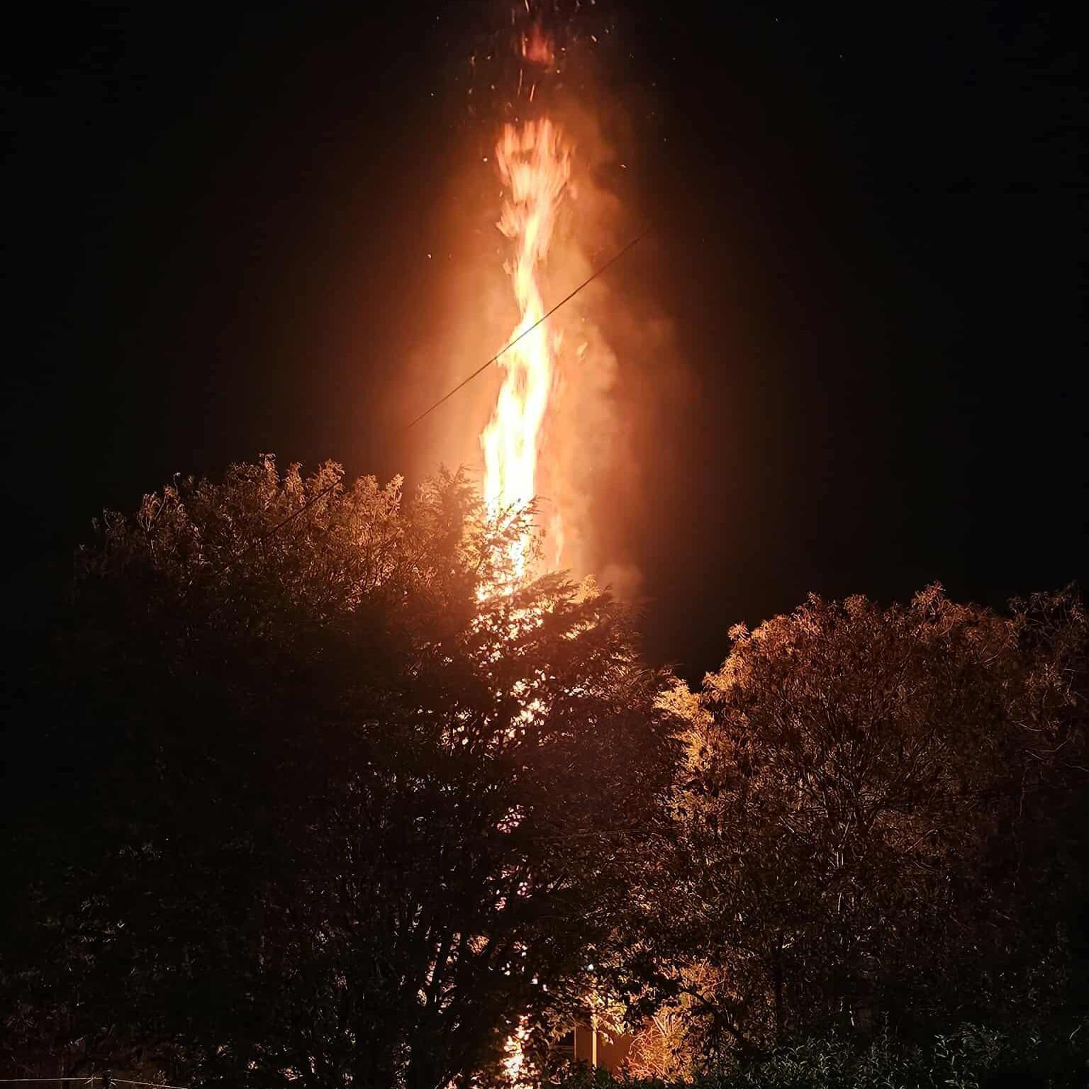 Flames shoot up into the sky behind trees on a dark night