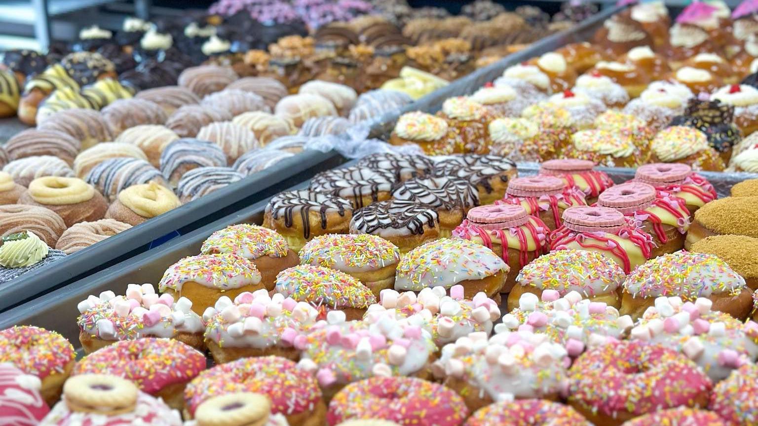 A tray of colourful doughnuts beside one another. Some with pink icing and sprinkles and others with white icing and sprinkles. Some have mini marshmallows and biscuits for toppings.