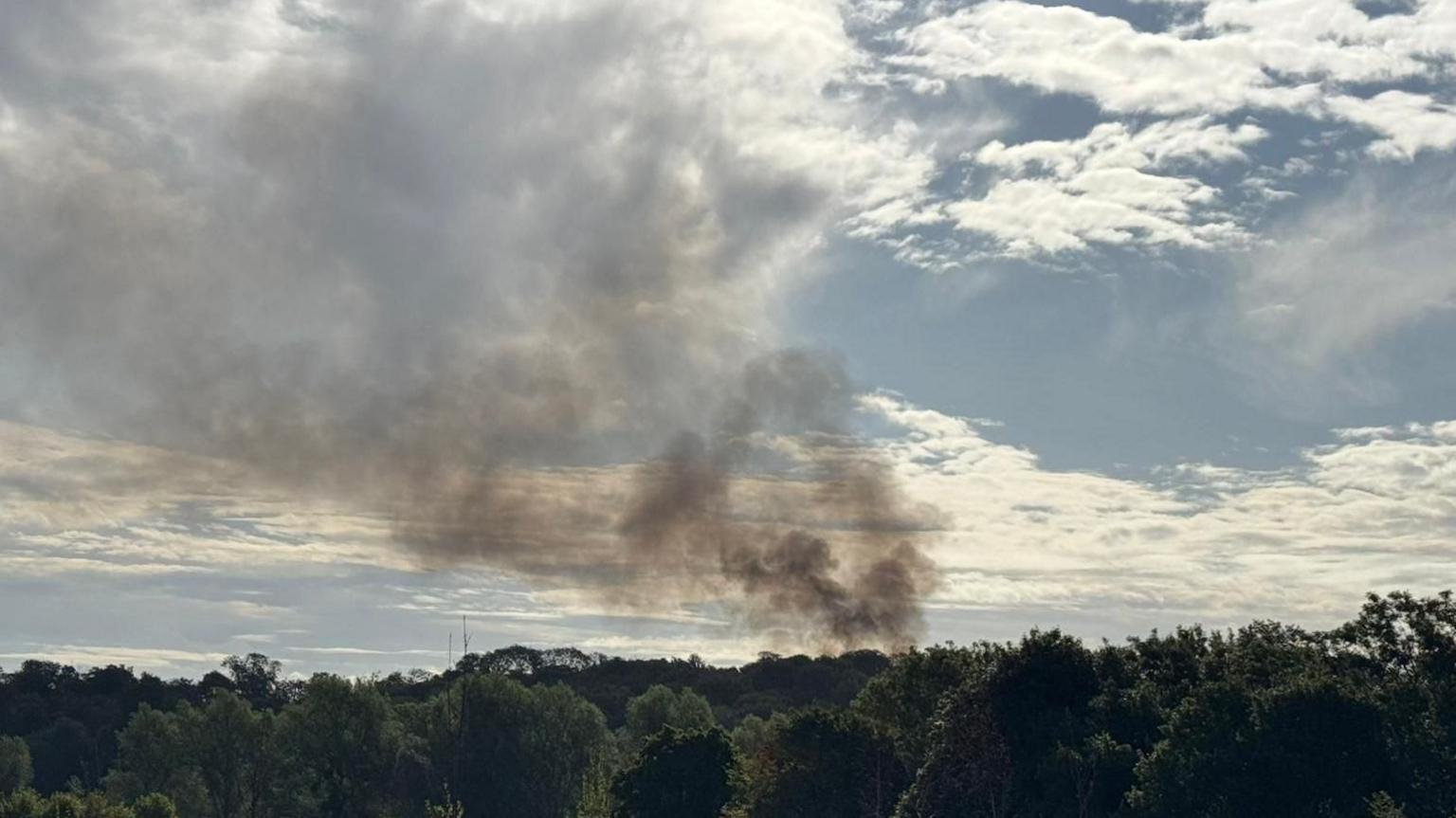 Smoke billows into the sky above a line of trees.
