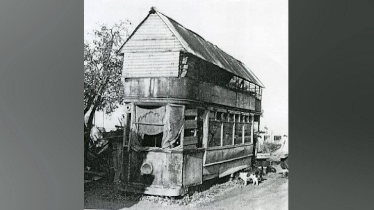 Tram 21 with a triangular roof on the top. It's got rags and wooden boards in the windows. A small animal which looks like a dog is standing next to the derelict tram. The photo is in black and white.