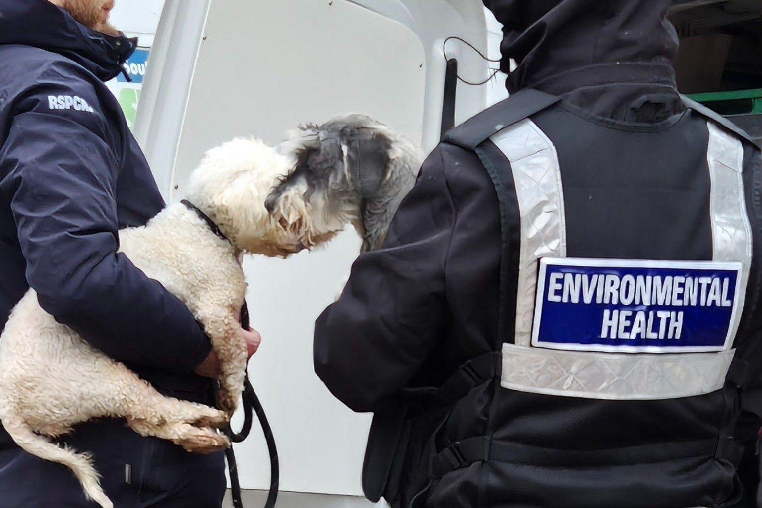 An RSPCA officer and an environmental health officer both hold rescued dogs. One of the dogs, which has a lead, has a white coat and the other has shaggy fur and is white and grey. The two dogs are leaning towards each other and nuzzling.