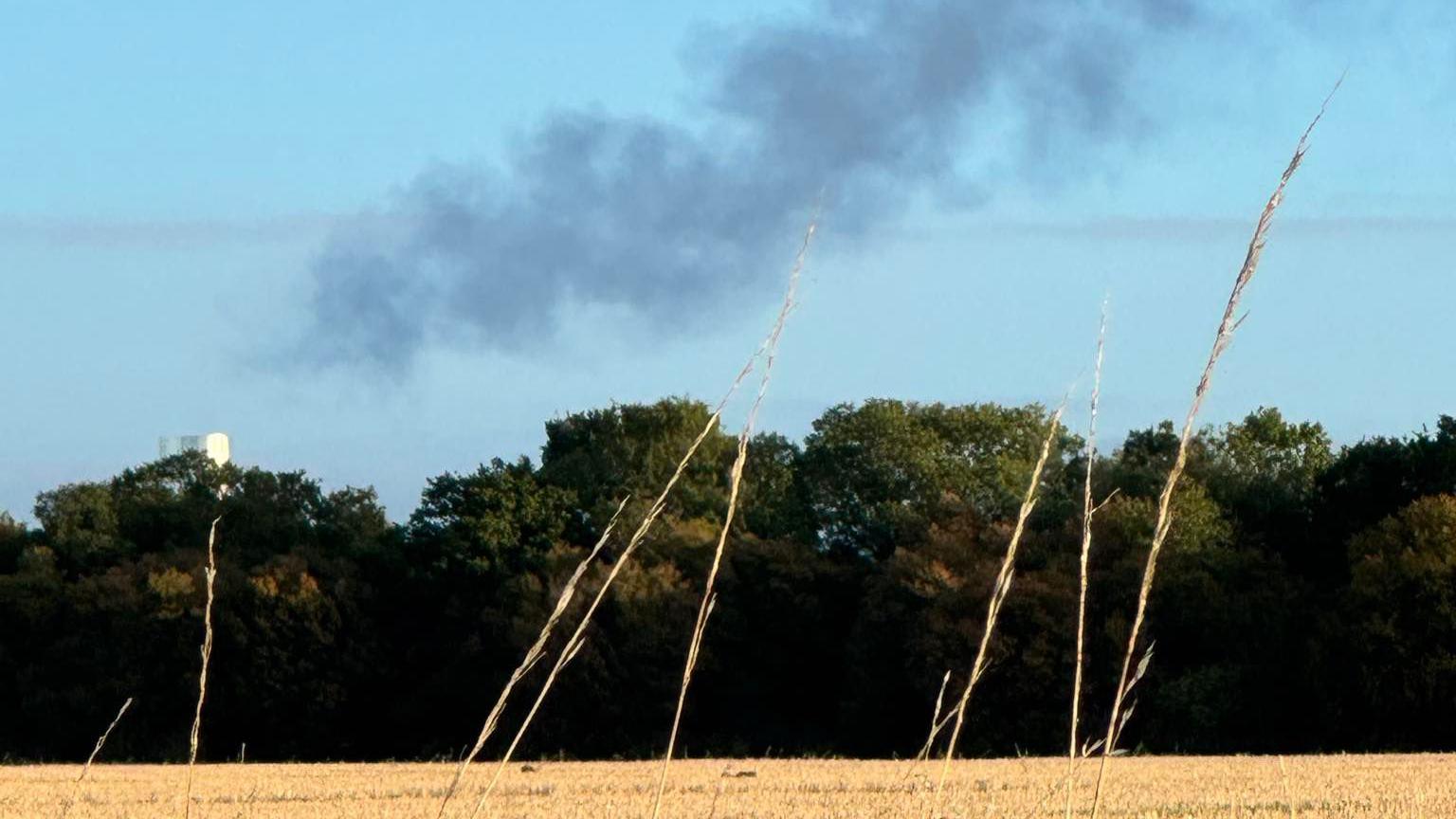 Whart appears to be black smoke or steam in a blue sky coming from a metal chimney that is behind a row of trees and field.