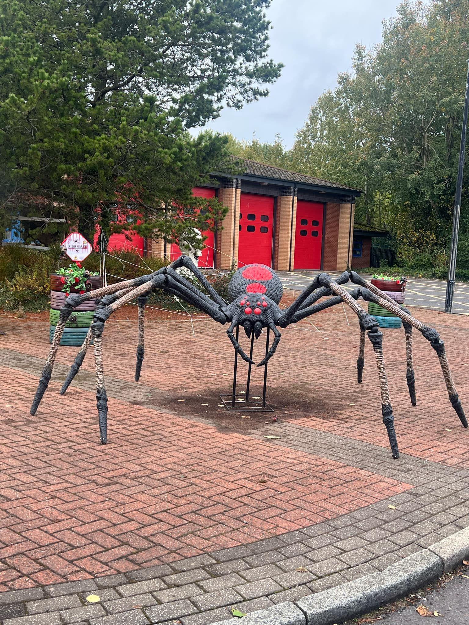 Large black spider on a pavement