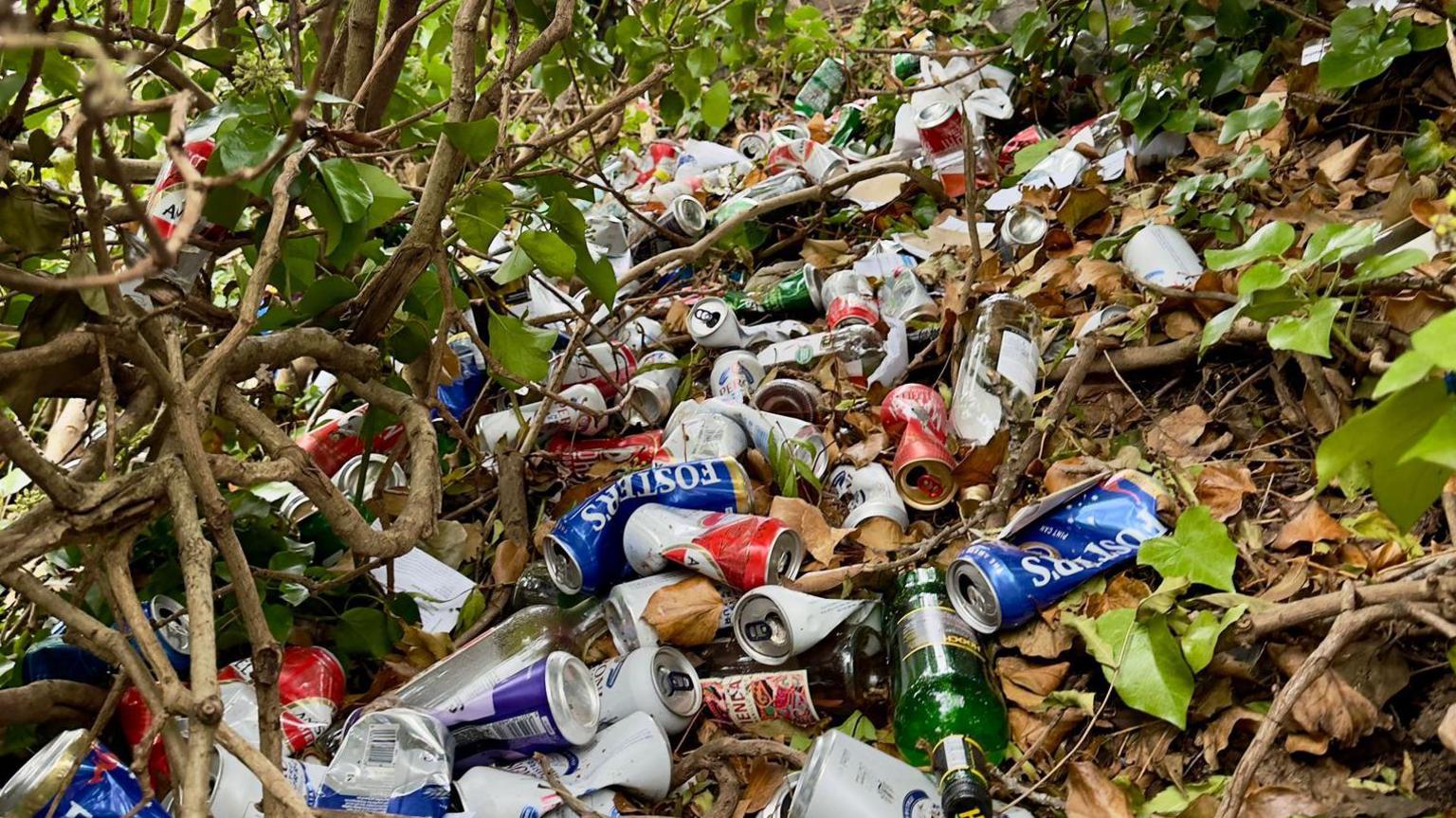 A large pile of drink cans and bottles are seen piled up among undergrowth on the banks of the River Avon in Bristol.