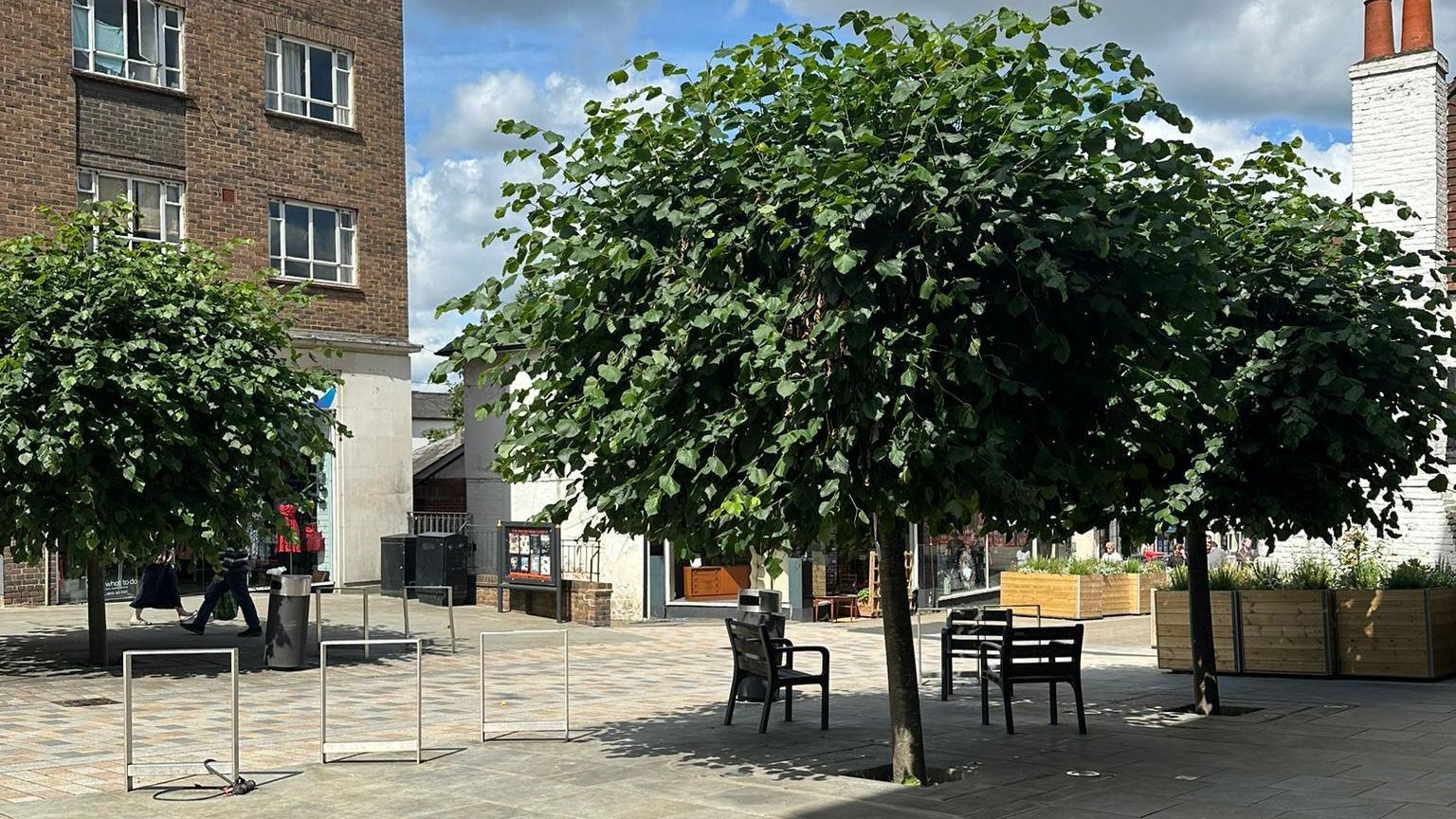 The lime trees are seen in Church Street along with chairs in their shade and cycle racks