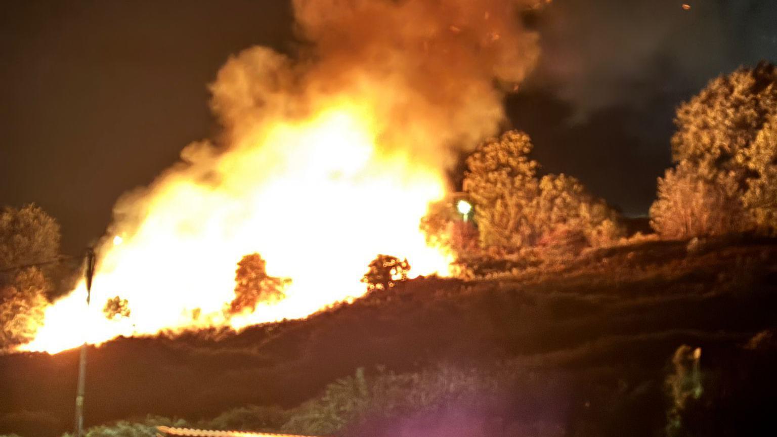 Flames from a large gorse and tree fire on a common in Devon head up into the night's sky. Trees and gorse around the common can be seen.