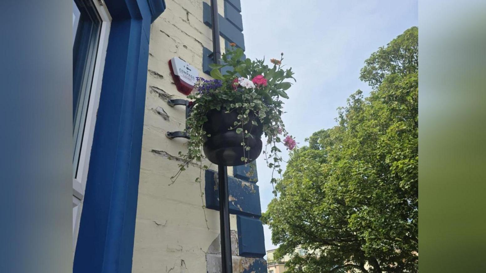 A general view of a flower display mounted to the wall of a building.