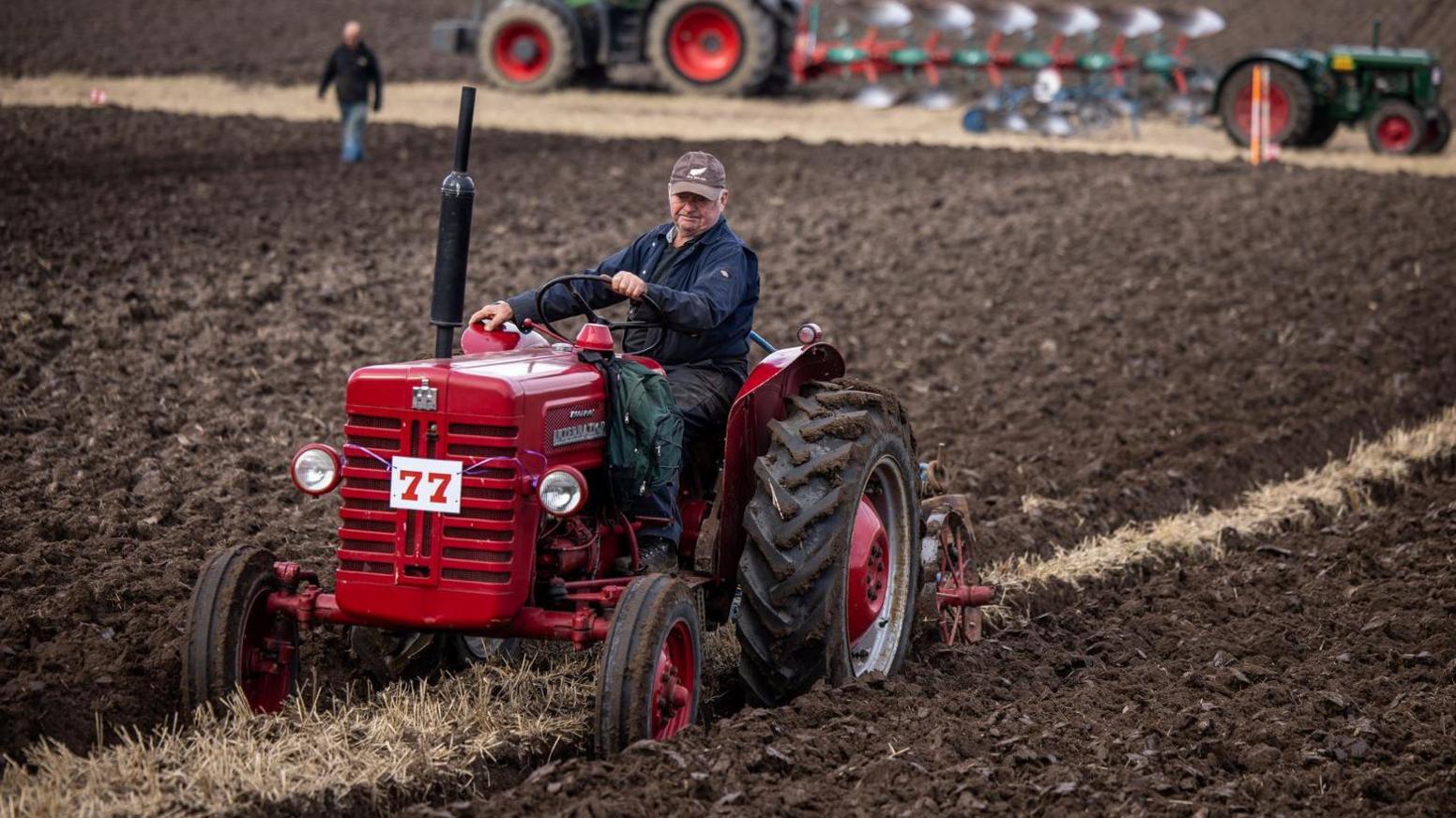 A red tractor with the number 77 on it. A man in a boiler suit and wearing a cap is using the tractor to plough a field.