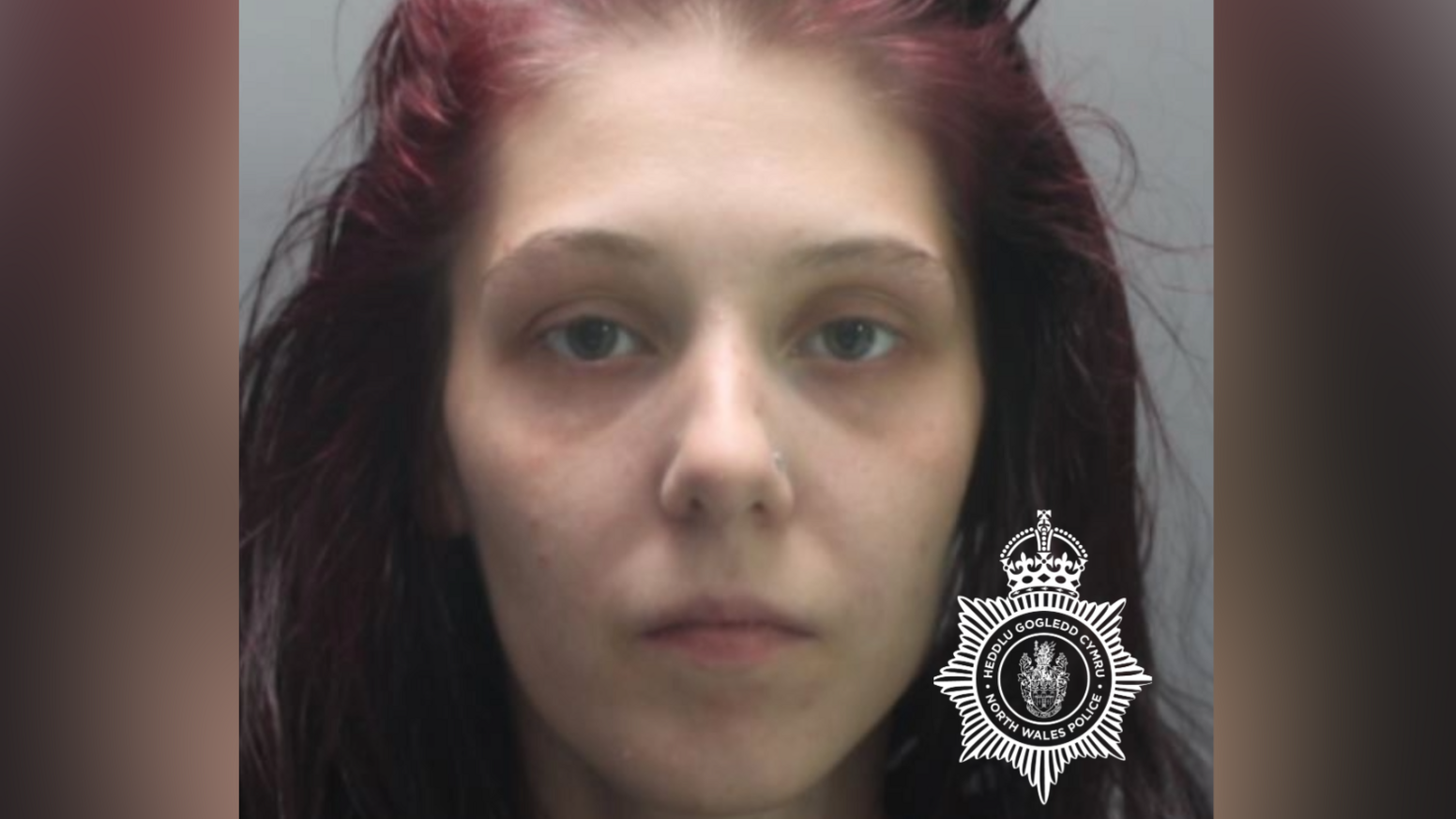 Custody picture of 28-year-old Shannon Ives. She has long hair, dyed purple, with the top pulled back from her face. She is looking directly into the camera, and has a nose stud. There is a North Wales Police watermark logo on the image