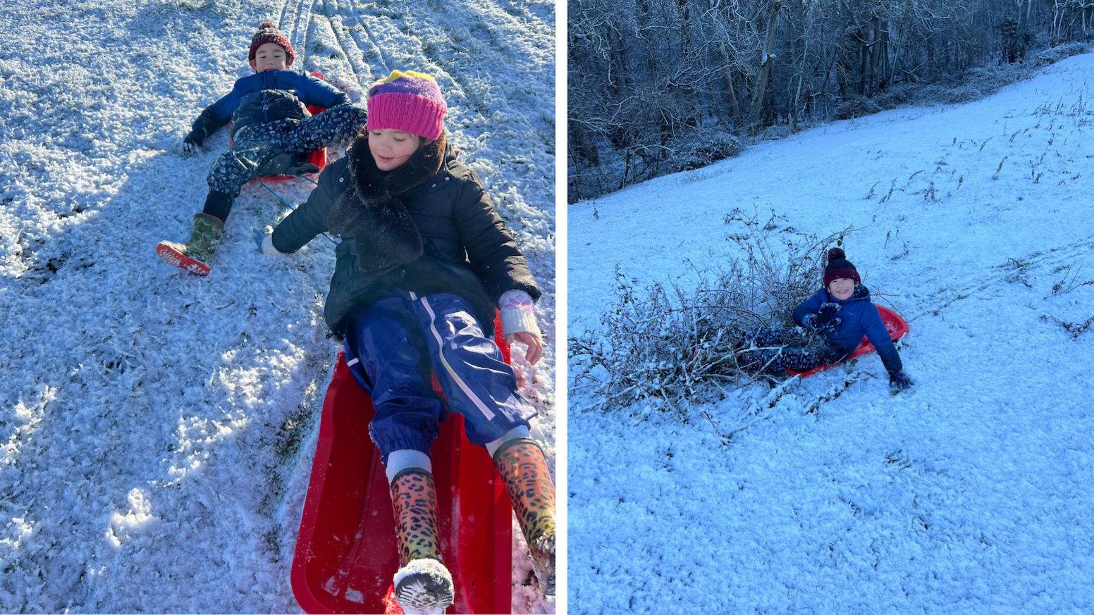 a brother and sister on a red toboggan on the left, with the brother stuck in a hedge in another photo on the right.