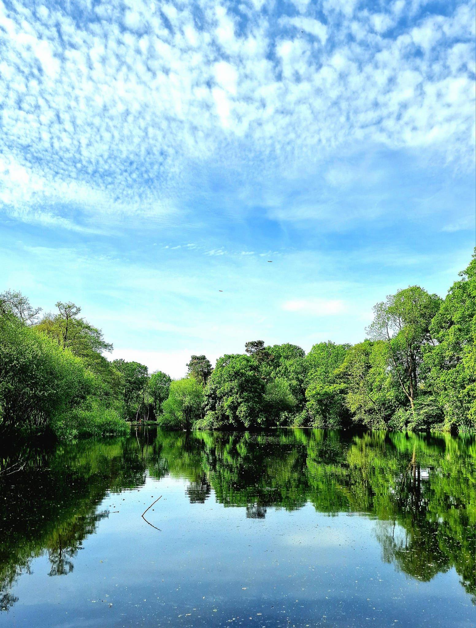 Pendeford Mill nature reserve 