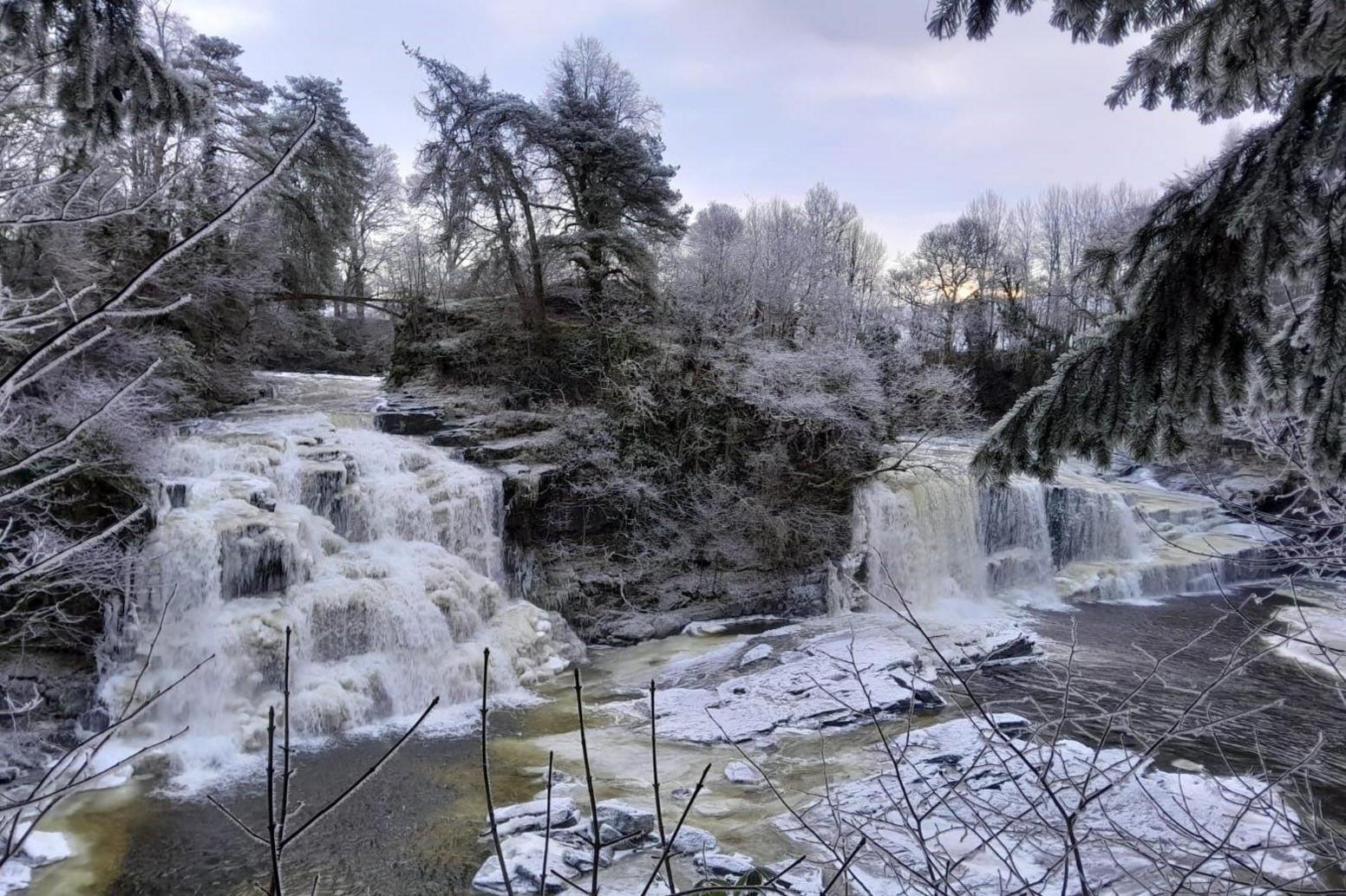 A series of waterfalls in a landscape of ice-covered trees. Some of the water in the waterfalls is frozen.