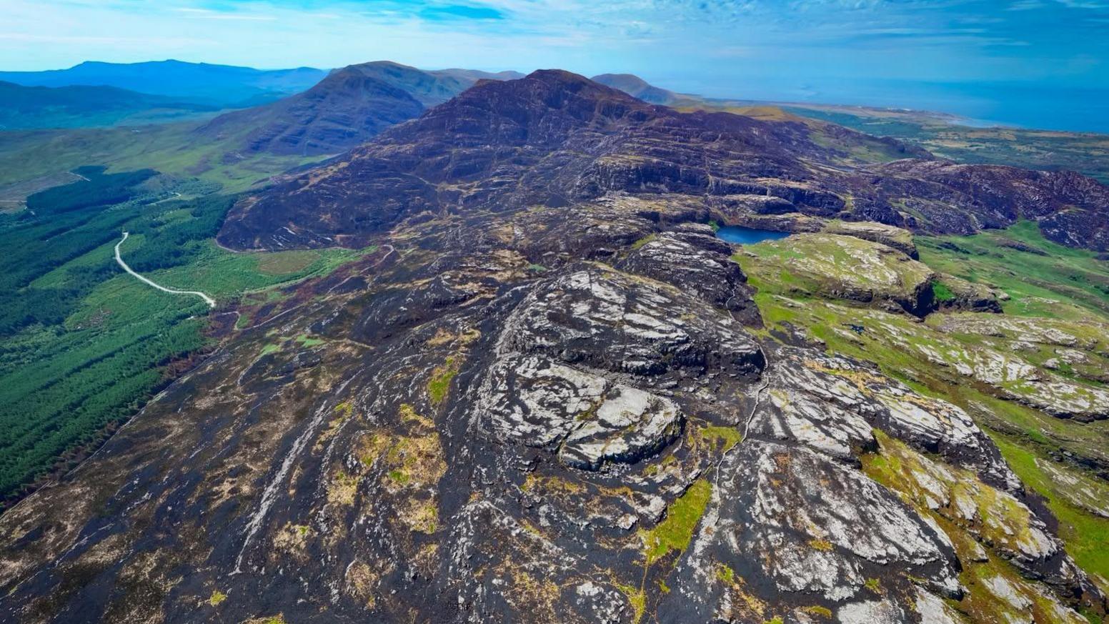 Llun dinistr tân gwyllt ym mynyddoedd Rhinogydd