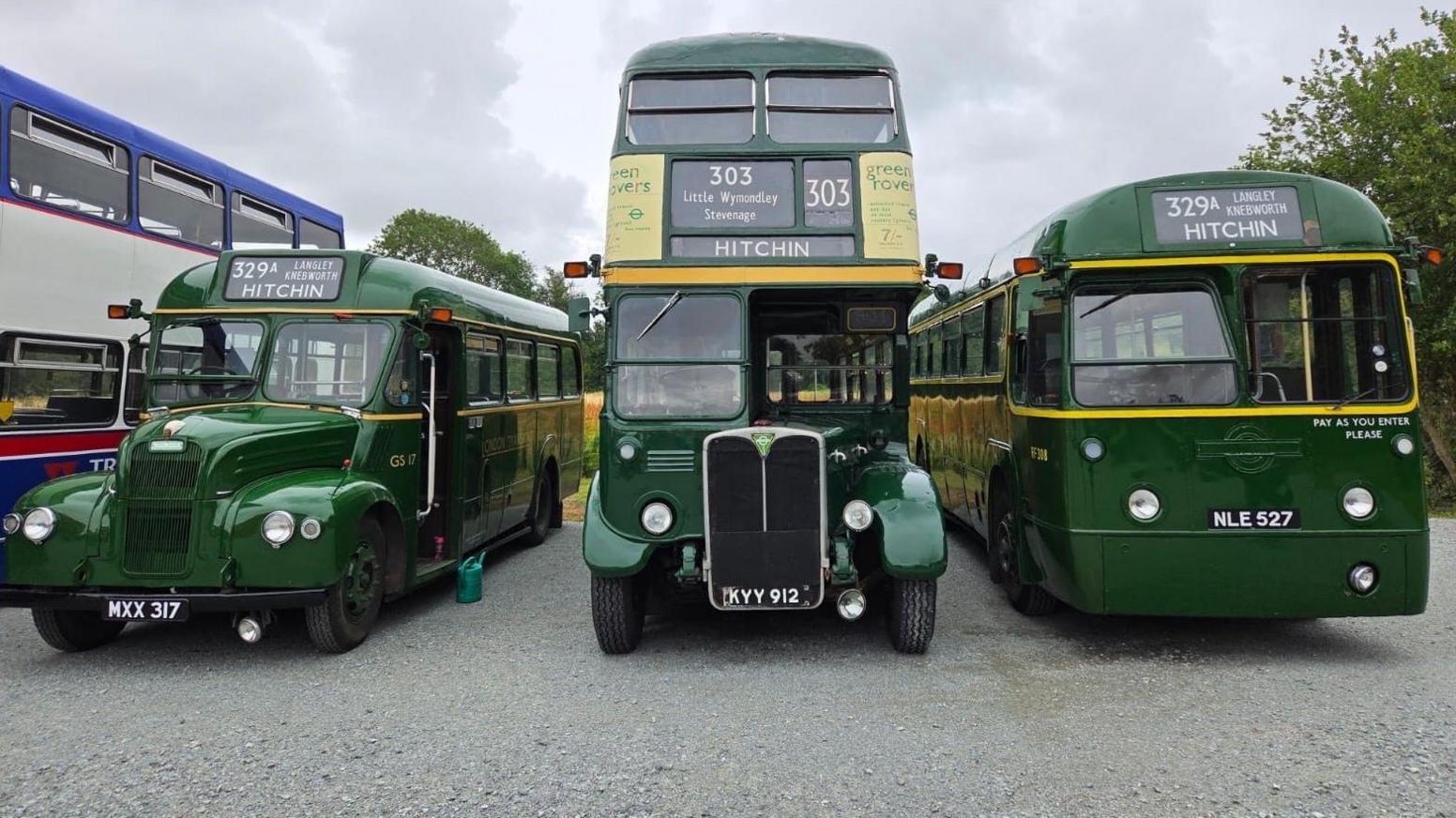 Three old buses parked next to each other. All three are green with "HITCHIN" written on the front indicating their destination.