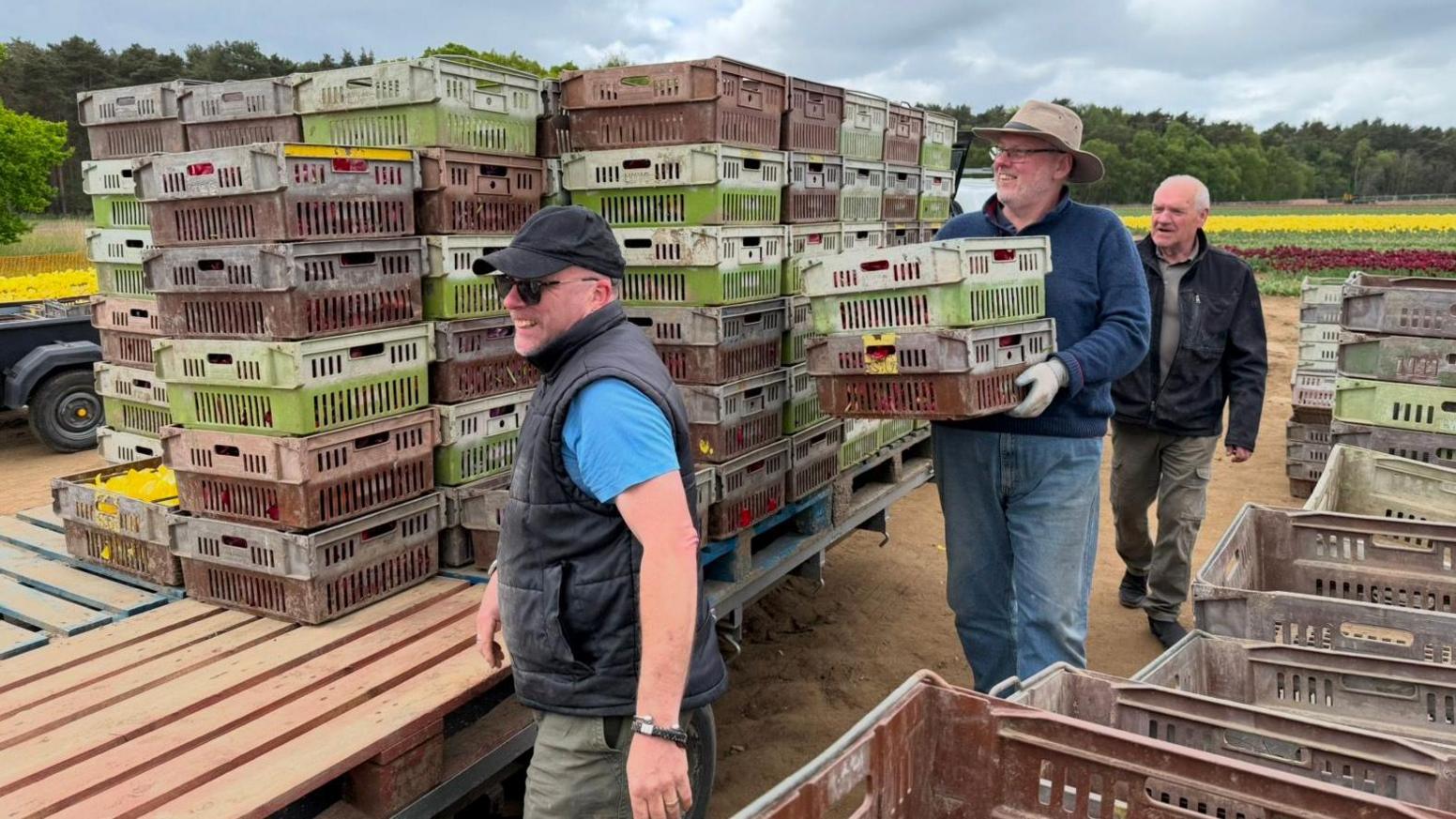 Three men with crates of flowers. There is a field full of tulips behind them.