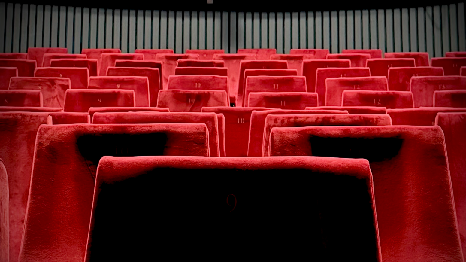 A close up view of the rows of red velvet seats stretching back in Screen 1. Each has a gold embossed number in the centre of the back.