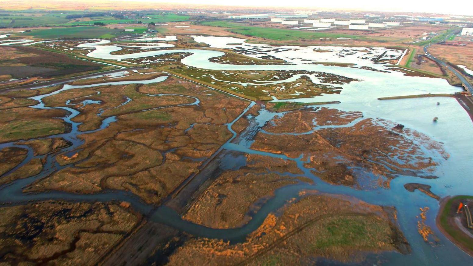 An aerial shot of Greatham saltmarsh which is green and brown grass covered partially covered in water.