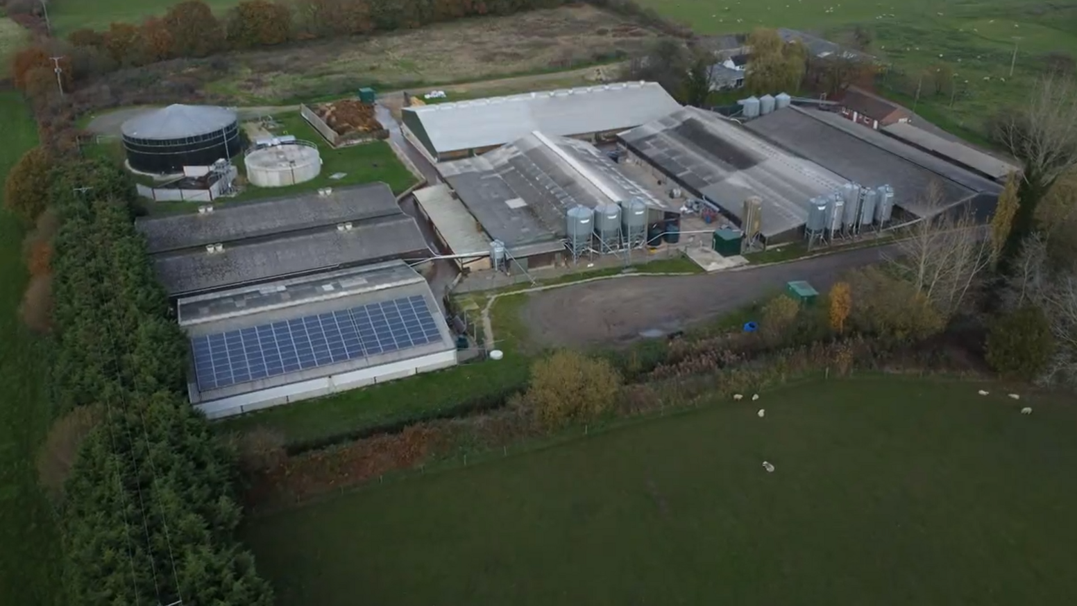 An aerial view of the pig farm, with large industrial buildings, with grey rooftops, some with solar panels, and silos surrounded by green fields and trees.
