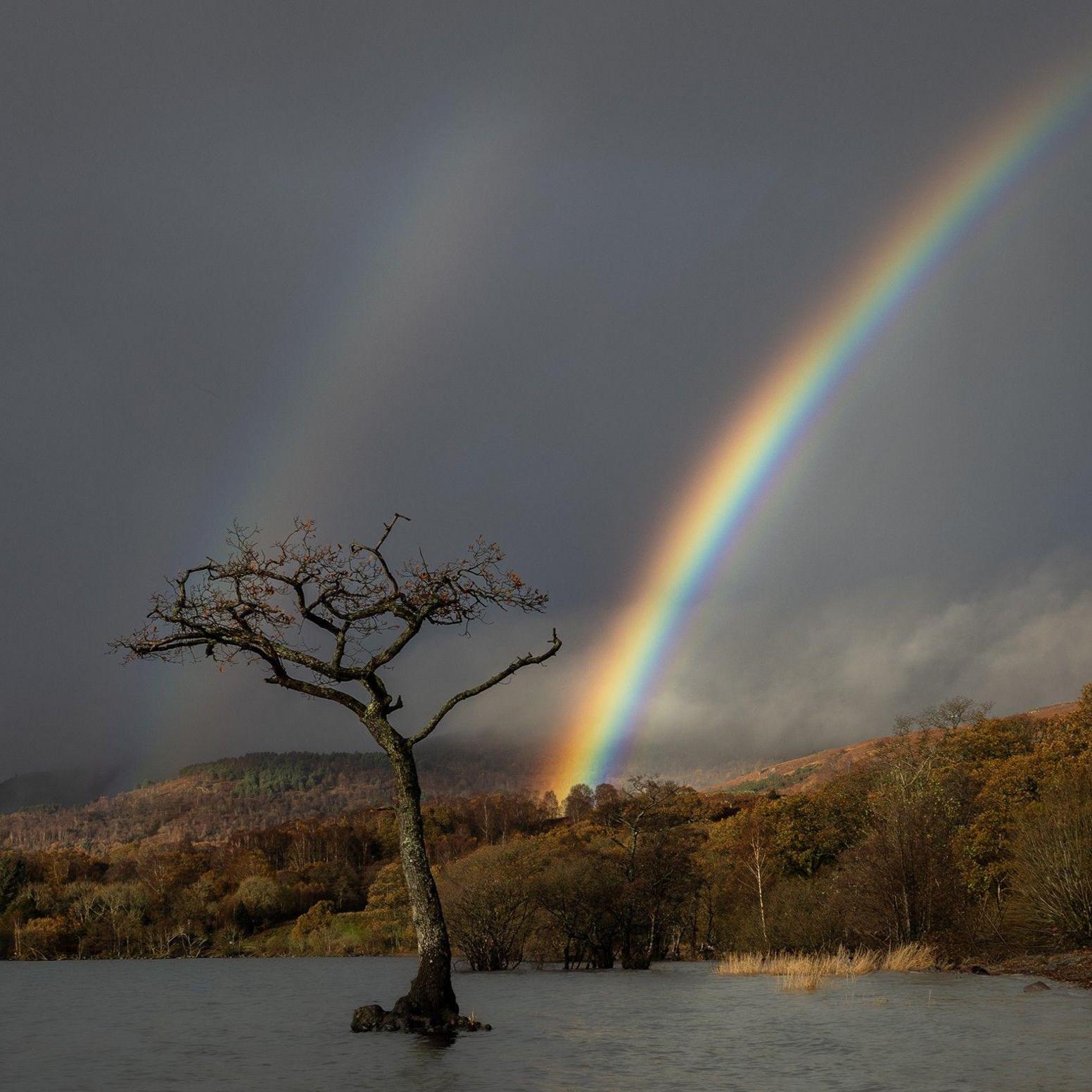 Double rainbow over hills and a loch and a tree at Millarrochy Bay.