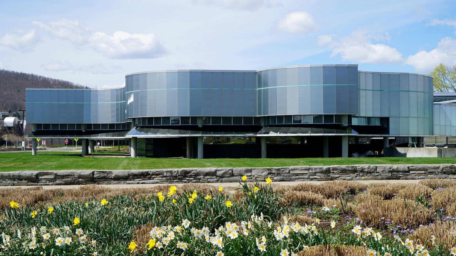 A horizontal grey glass building on stilts with daffodils in the foreground.