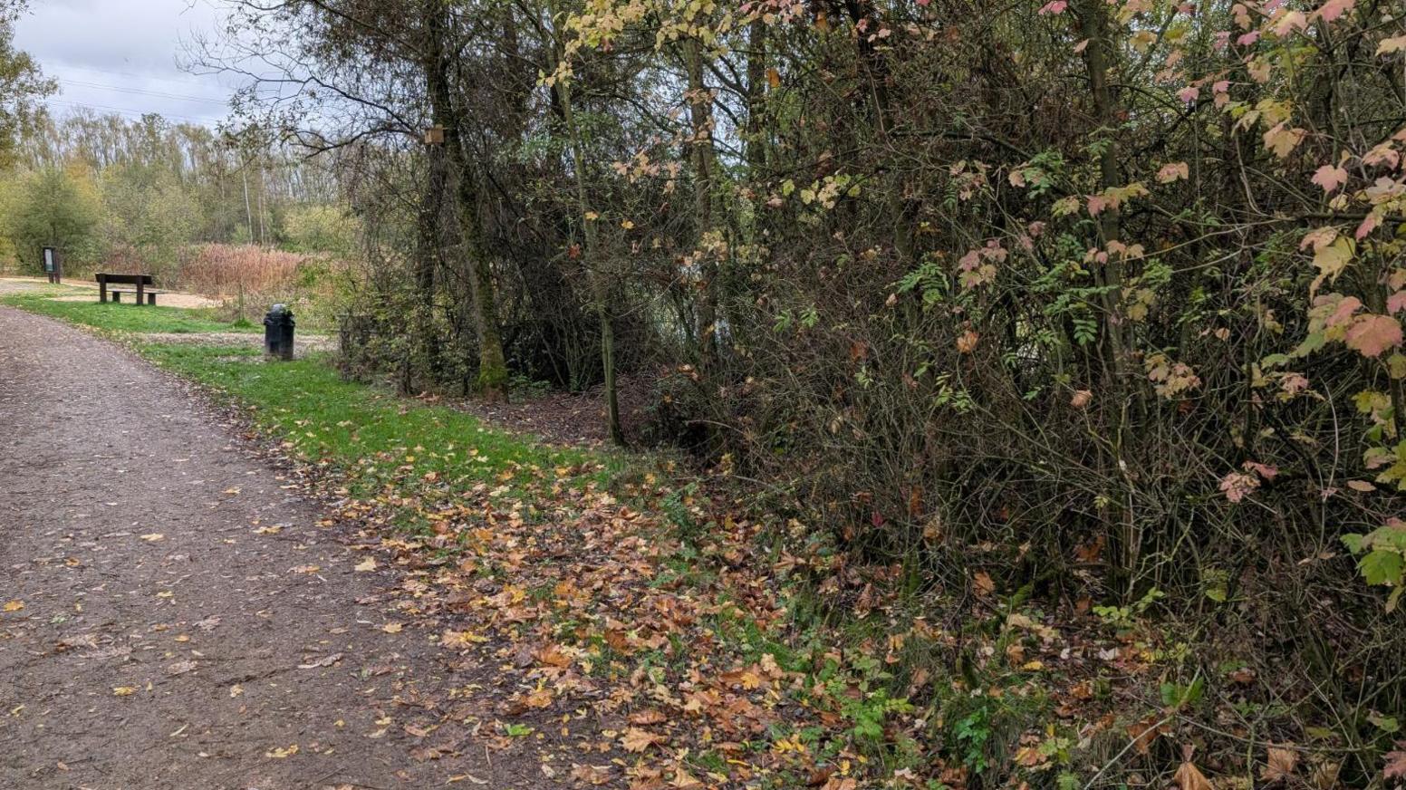 Wolfie Pond in North Wingfield, Derbyshire