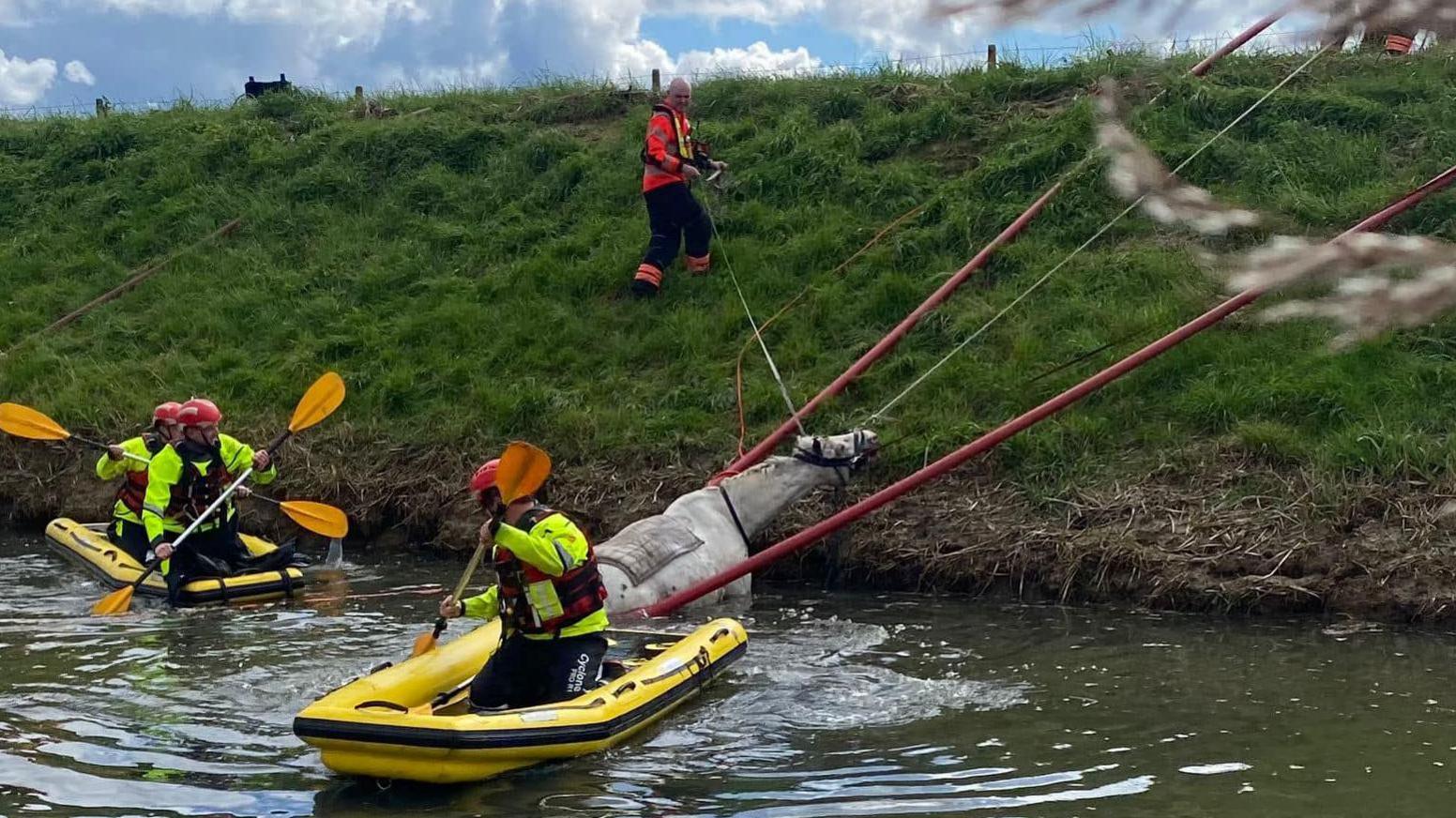 Horse being rescued from a river