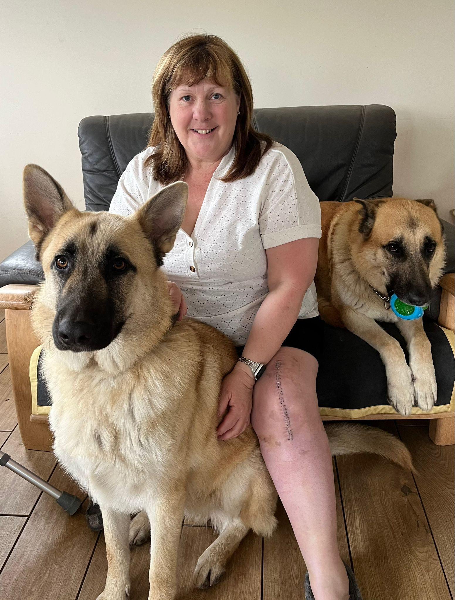 Heather Shepherd and her dogs