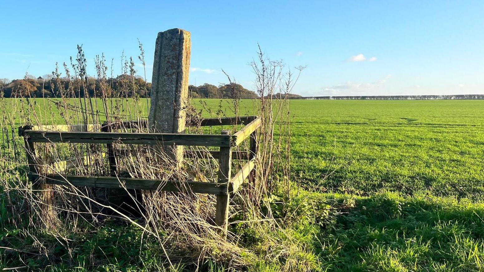 The shaft of a stone cross, about 3ft tall, stands in a green field, protected by a wooden fence. The sky is blue and trees can be seen in the background.