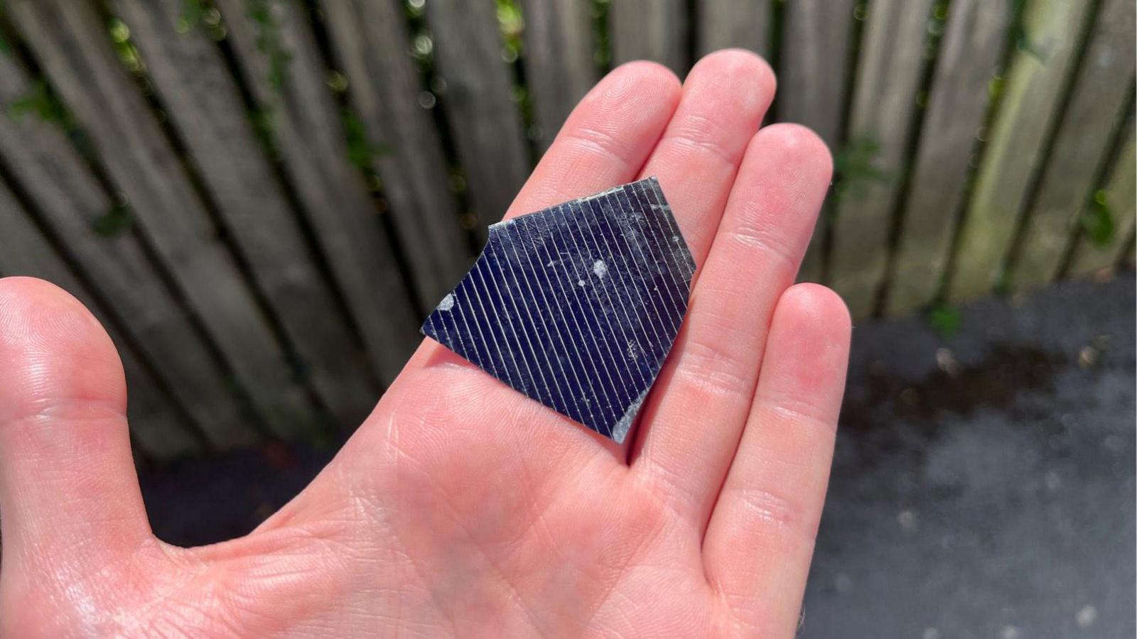 A small piece of dark-coloured glass or plastic in someone's hand. A garden fence is in the background.