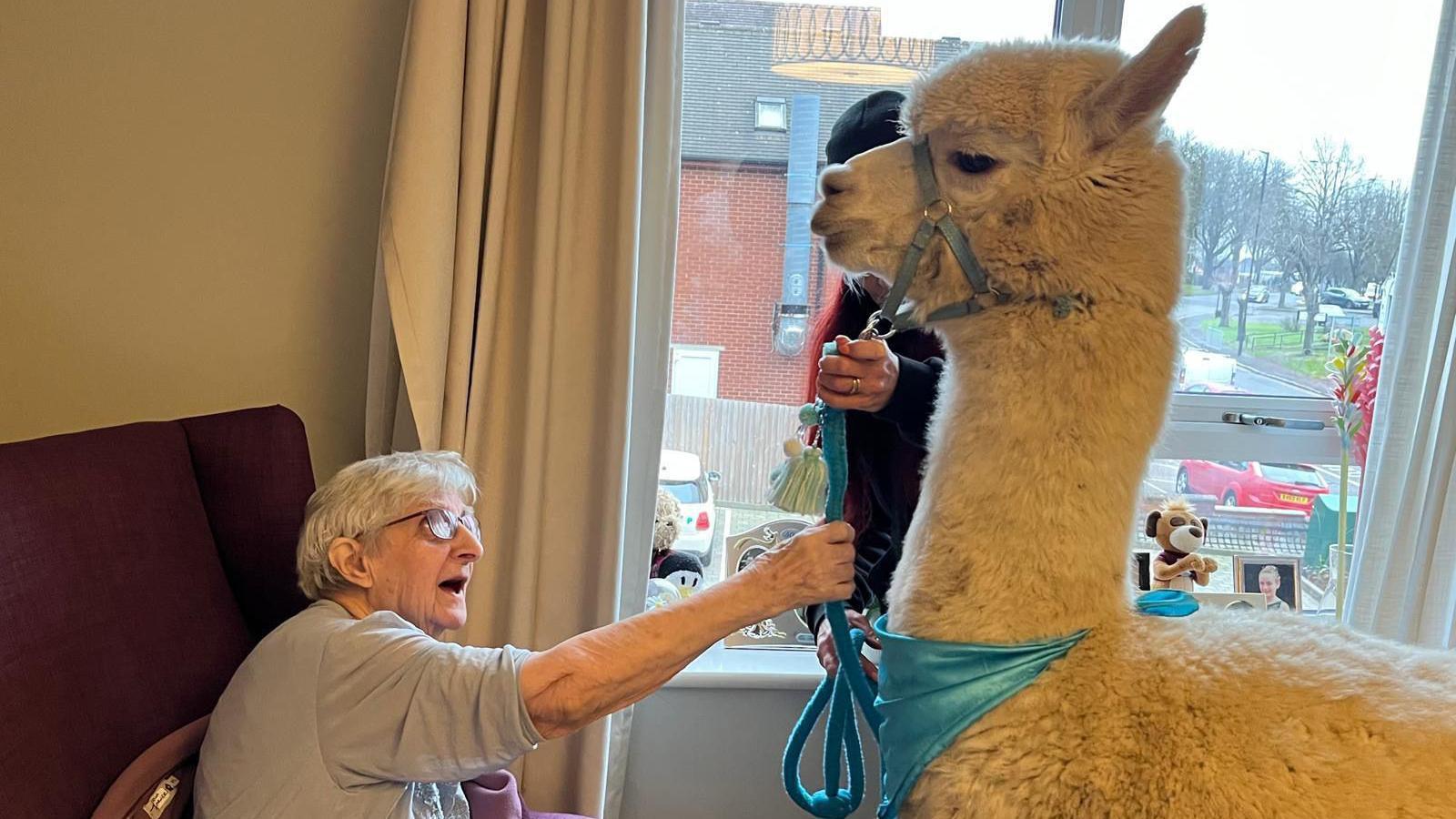 A resident sits in a chair and reaches up to Prancer. He has his hand on the lead.